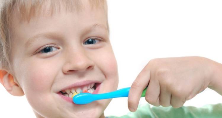 25 Amazing Teeth Facts for Kids – Interesting Facts About Teeth