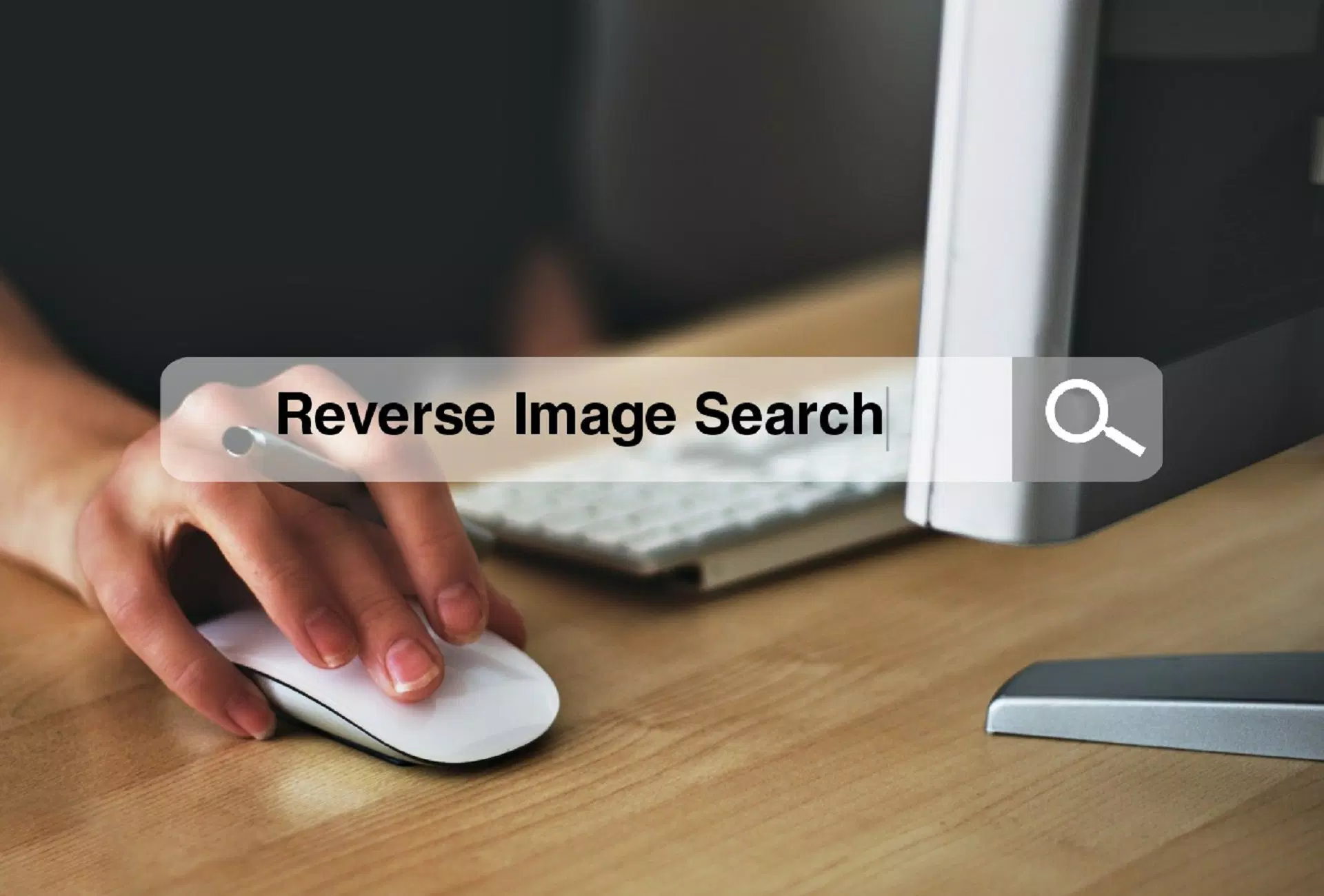 How Reverse Image Search Can Help You Find the Perfect Picture?